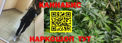 стаф Кизляр