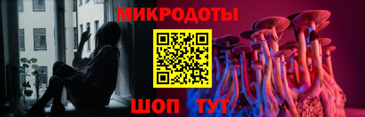Галлюциногенные грибы Psilocybine cubensis  Вход с VPN  Кропоткин 
